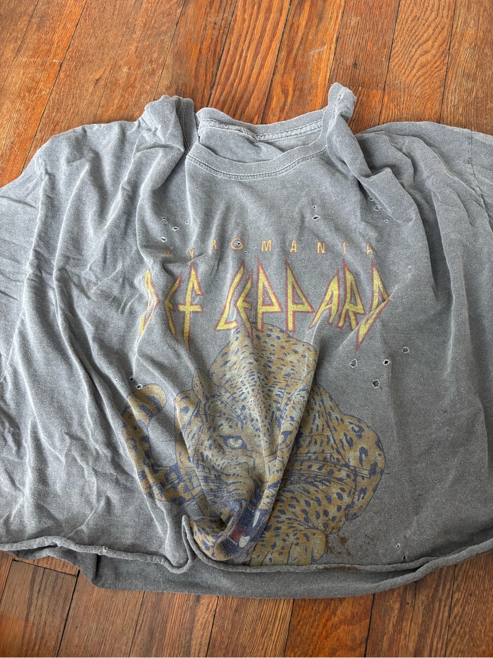 Def Leppard Gray Cropped Band Tee - Women